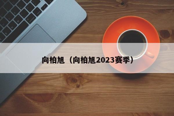 向柏旭（向柏旭2023赛季）