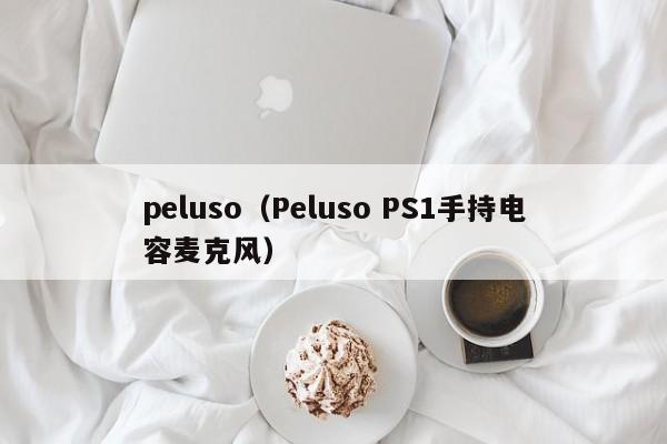 peluso（Peluso PS1手持电容麦克风）