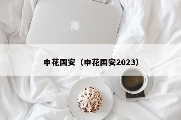 申花国安（申花国安2023）