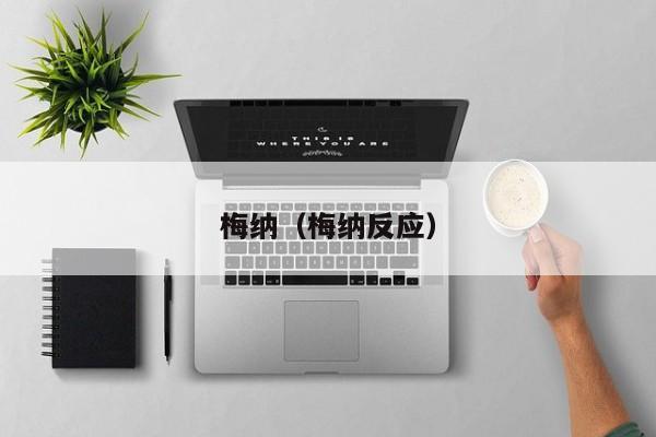 梅纳（梅纳反应）