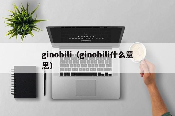 ginobili（ginobili什么意思）