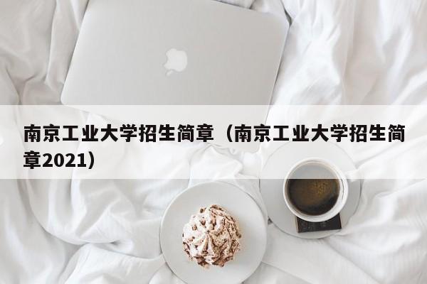 南京工业大学招生简章（南京工业大学招生简章2021）