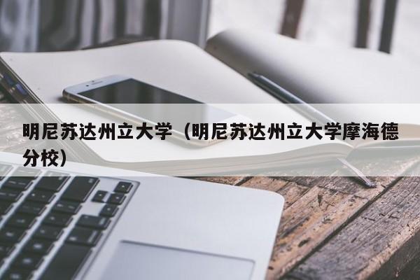 明尼苏达州立大学（明尼苏达州立大学摩海德分校）