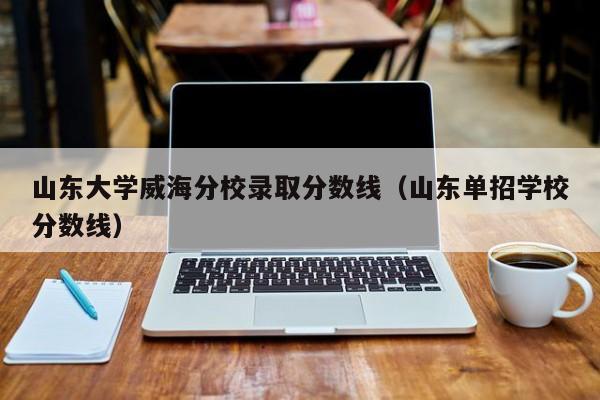 山东大学威海分校录取分数线（山东单招学校分数线）