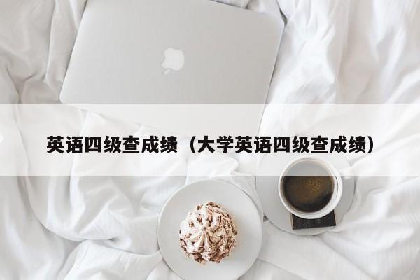 英语四级查成绩（大学英语四级查成绩）