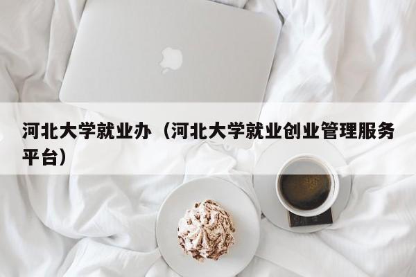 河北大学就业办（河北大学就业创业管理服务平台）