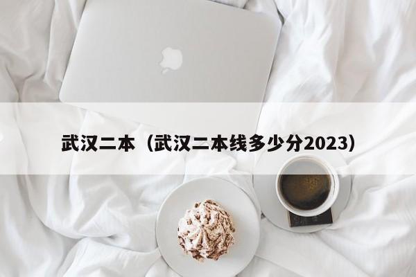 武汉二本（武汉二本线多少分2023）