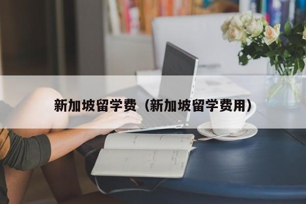 新加坡留学费（新加坡留学费用）