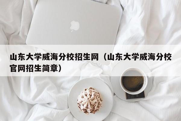 山东大学威海分校招生网（山东大学威海分校官网招生简章）