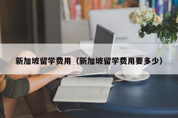 新加坡留学费用（新加坡留学费用要多少）